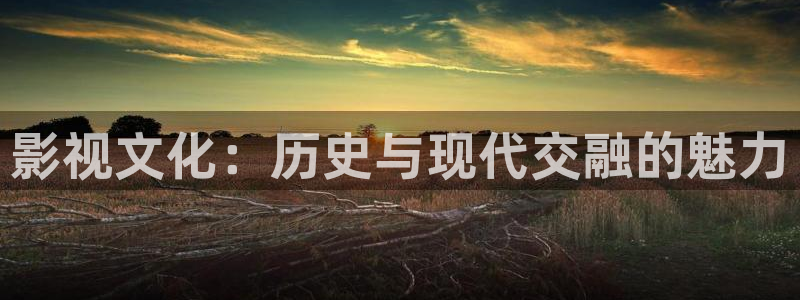 七七影院官方正版下载：影视文化：历史与现代交融的魅力