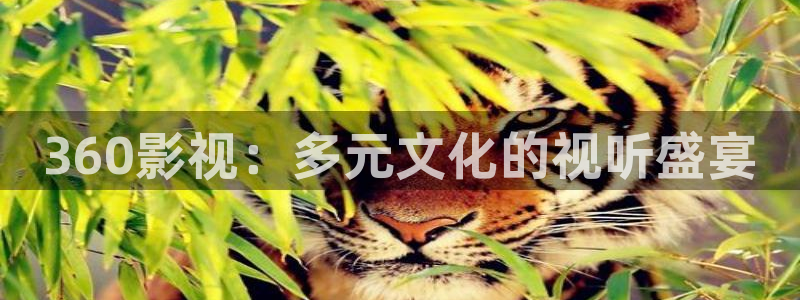七七影院在线免费播放：360影视：多元文化的视听盛宴