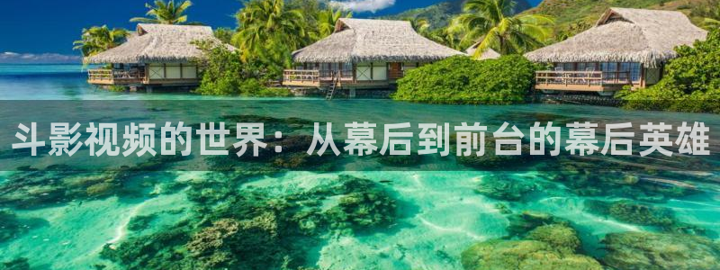 色七七影院2016：斗影视频的世界：从幕后到前台的幕后英雄