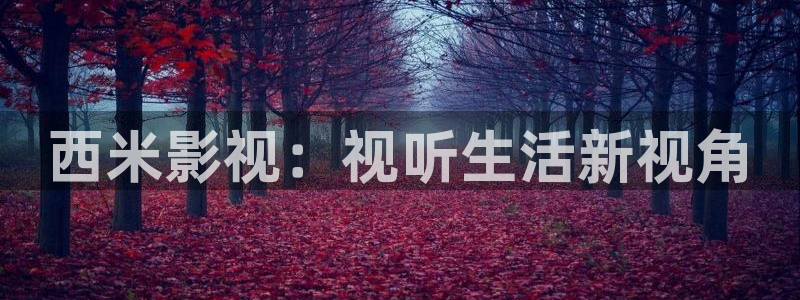 伦理片七七影院：西米影视：视听生活新视角