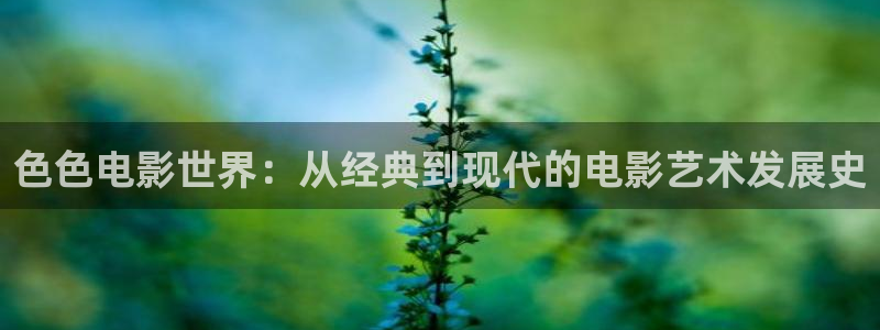 七七影院社区一：色色电影世界：从经典到现代的电影艺术发展史